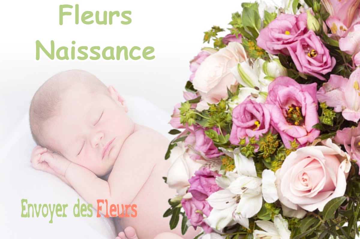 lIVRAISON FLEURS NAISSANCE à LA-ROQUETTE-SUR-VAR